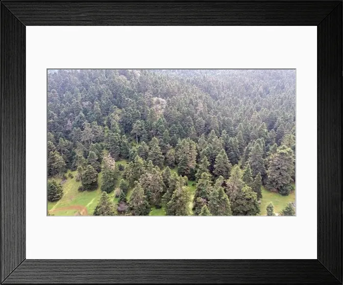 Framed Print : Mountain landscape, fir ttrees forest at Parnassos mountain aerial drone view. Greece, Boeotia Framed Print : Mountain landscape, fir ttrees forest at Parnassos mountain aerial drone view. Greece, Boeotia