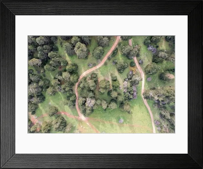 Framed Print : Road and a forest glade among fir trees in mountains, aerial drone view. Spring season Framed Print : Road and a forest glade among fir trees in mountains, aerial drone view. Spring season