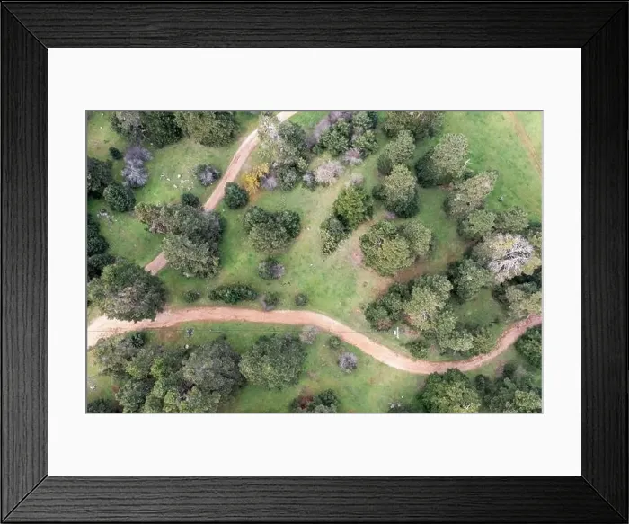 Framed Print : Road and a forest glade among fir trees in mountains, aerial drone view. Spring season Framed Print : Road and a forest glade among fir trees in mountains, aerial drone view. Spring season