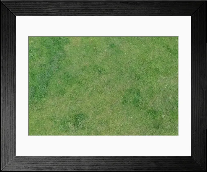 Framed Print : Empty forest glade, aerial drone top view. Green grass background, Spring season Framed Print : Empty forest glade, aerial drone top view. Green grass background, Spring season