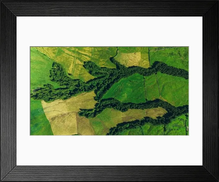 Framed Print : High-angle aerial shot capturing the contrasting landscapes of the Azores vast green fields split by winding rows of Framed Print : High-angle aerial shot capturing the contrasting landscapes of the Azores vast green fields split by winding rows of