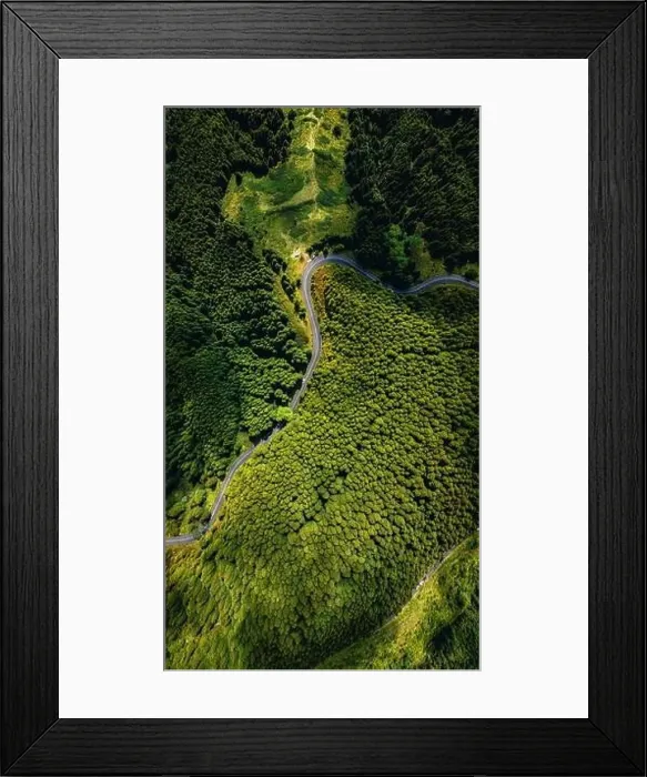 Framed Print : Aerial view captures a serene winding road cutting through the dense Framed Print : Aerial view captures a serene winding road cutting through the dense