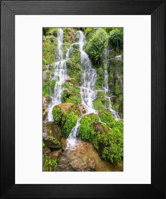 Framed Print : Bakthang Waterfall is a breathtaking cascade located in Sikkim, India. Surrounded by lush forests and mountains Framed Print : Bakthang Waterfall is a breathtaking cascade located in Sikkim, India. Surrounded by lush forests and mountains