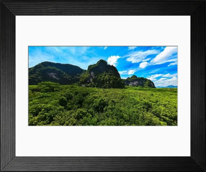 Framed Print : Aerial view Tropical Rainforest trees mountains Framed Print : Aerial view Tropical Rainforest trees mountains