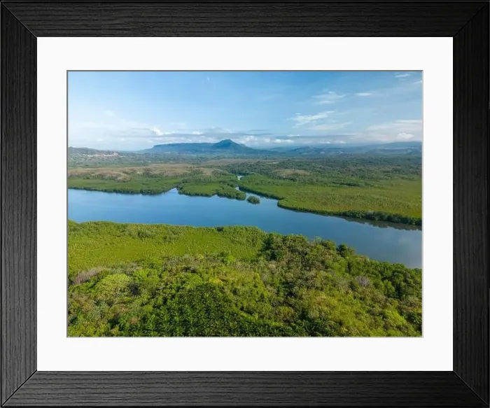 Framed Print : Aerial view of Oil palm tree plantation, Chiriqui, Panama - stock photo Framed Print : Aerial view of Oil palm tree plantation, Chiriqui, Panama - stock photo