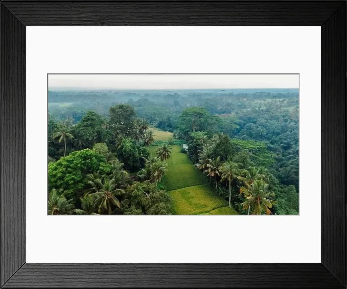 Framed Print : Drone view of green rice terraces with tropical palm trees. Countryside in Bali island Framed Print : Drone view of green rice terraces with tropical palm trees. Countryside in Bali island