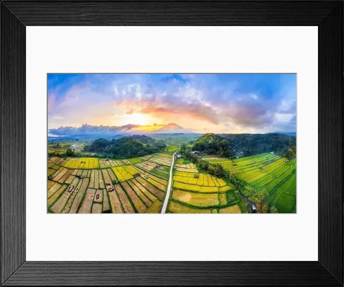 Framed Print : Panorama of rice field and mount Agung in Bali, Indonesia Framed Print : Panorama of rice field and mount Agung in Bali, Indonesia