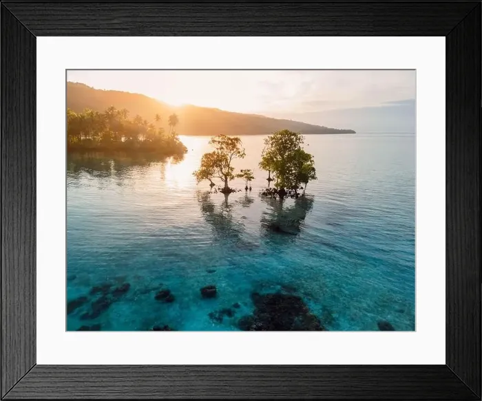 Framed Print : Paradise landscape with mangrove trees in blue sea and sunrise or sunset sunlight in Indonesia Framed Print : Paradise landscape with mangrove trees in blue sea and sunrise or sunset sunlight in Indonesia