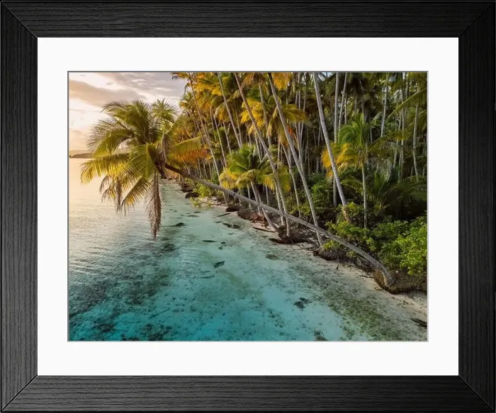 Framed Print : Paradise beach with coconut palm trees and sunrise sunshine on scenic island in Indonesia. Travel vacation concept Framed Print : Paradise beach with coconut palm trees and sunrise sunshine on scenic island in Indonesia. Travel vacation concept