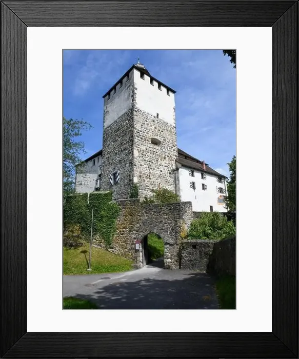 Framed Print : Werdenberg, Switzerland - 14 July 2024: view at the village of Werdenberg on Switzerland Framed Print : Werdenberg, Switzerland - 14 July 2024: view at the village of Werdenberg on Switzerland