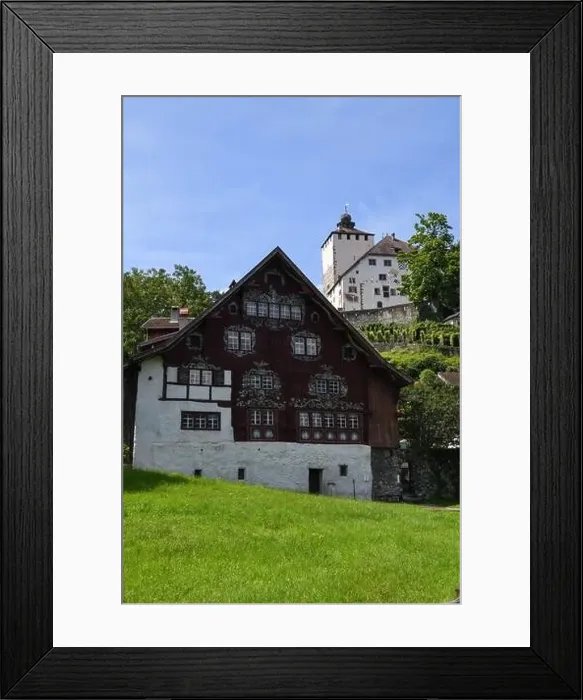 Framed Print : Werdenberg, Switzerland - 14 July 2024: view at the village of Werdenberg on Switzerland Framed Print : Werdenberg, Switzerland - 14 July 2024: view at the village of Werdenberg on Switzerland
