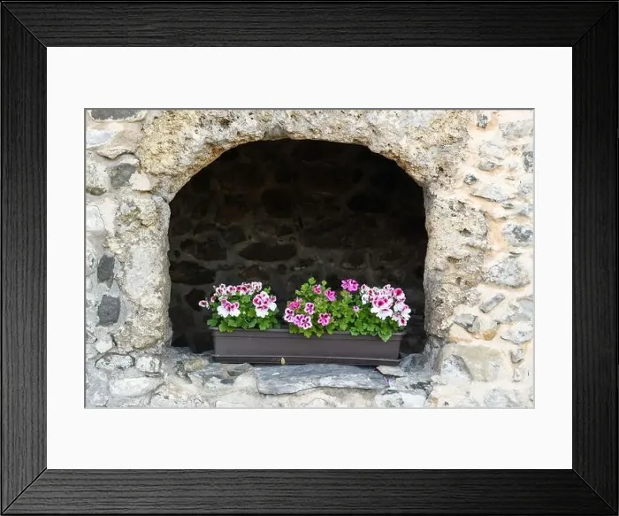 Framed Print : Flower pot at the village of Werdenberg on Switzerland Framed Print : Flower pot at the village of Werdenberg on Switzerland