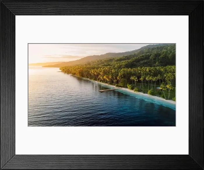 Framed Print : Paradise coastline with coconut palm trees Framed Print : Paradise coastline with coconut palm trees