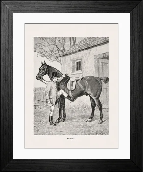 Framed Print : Vintage horse illustration from a 19th-century book on light horse breeds Framed Print : Vintage horse illustration from a 19th-century book on light horse breeds