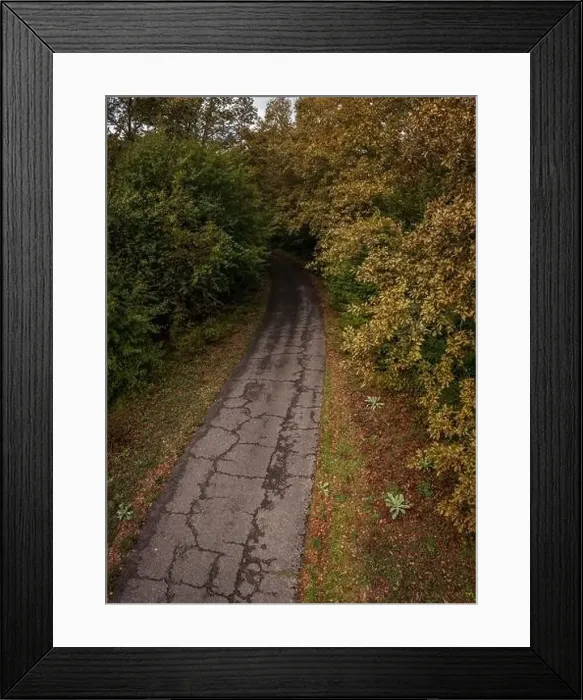 Framed Print : Aerial view to a road in the forest at autumn Framed Print : Aerial view to a road in the forest at autumn