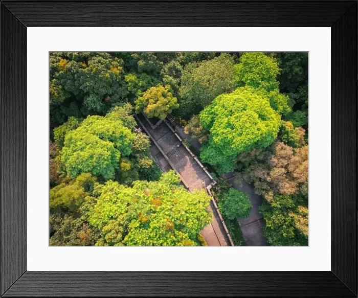 Framed Print : High angle view of Yuexiu park in Guangzhou China Framed Print : High angle view of Yuexiu park in Guangzhou China