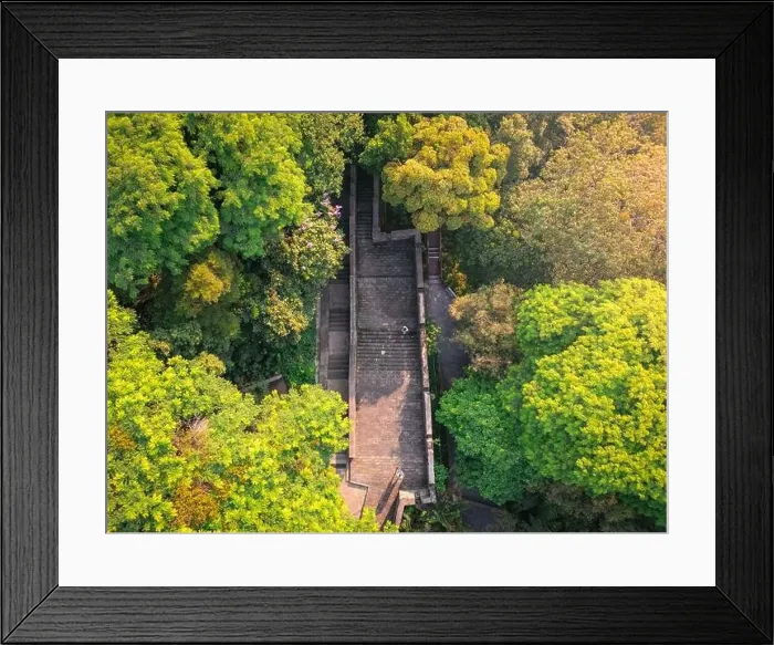 Framed Print : High angle view of Yuexiu park in Guangzhou China Framed Print : High angle view of Yuexiu park in Guangzhou China