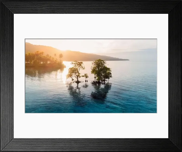 Framed Print : Tropical landscape with mangrove trees in blue sea and sunrise or sunset sunlight in Indonesia Framed Print : Tropical landscape with mangrove trees in blue sea and sunrise or sunset sunlight in Indonesia