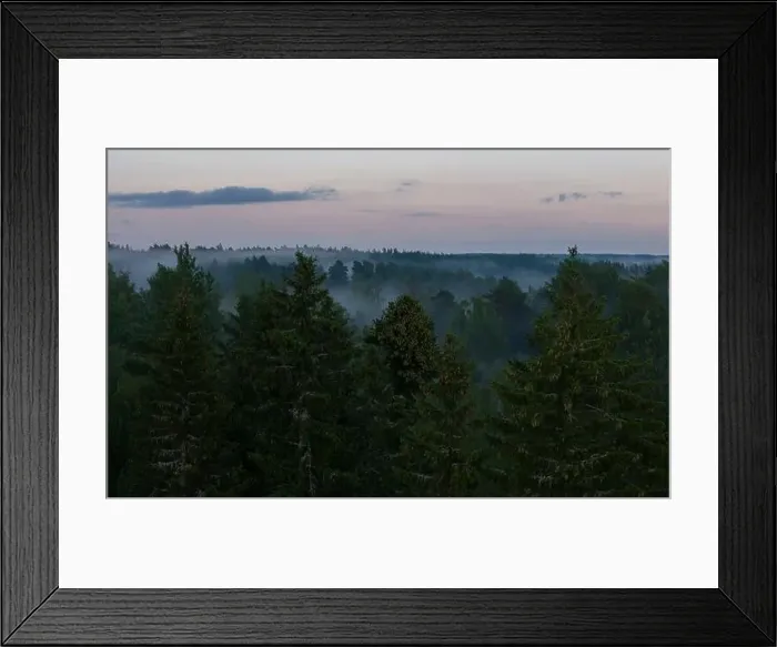 Framed Print : default Framed Print : default