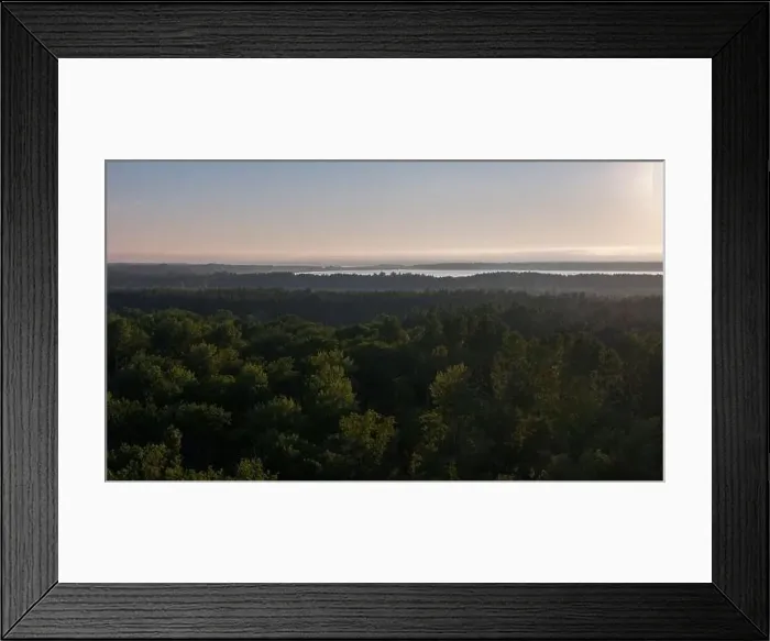 Framed Print : Mist over a forest during suset Framed Print : Mist over a forest during suset