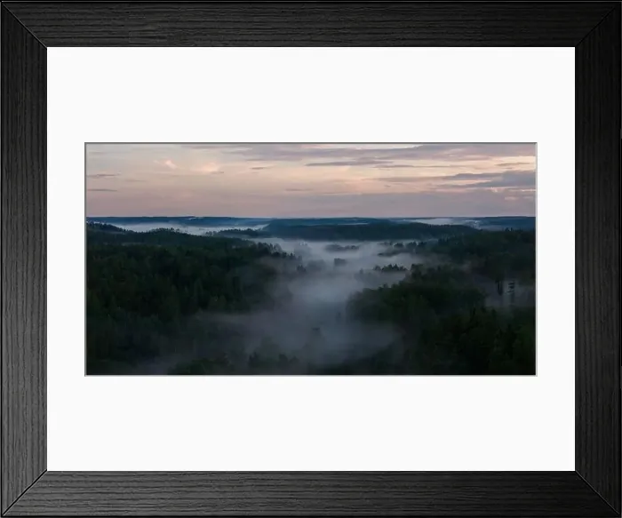 Framed Print : Mist over a forest during suset Framed Print : Mist over a forest during suset