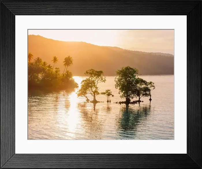 Framed Print : Ocean landscape with mangrove trees in water and sunrise or sunset sunlight in Indonesia Framed Print : Ocean landscape with mangrove trees in water and sunrise or sunset sunlight in Indonesia