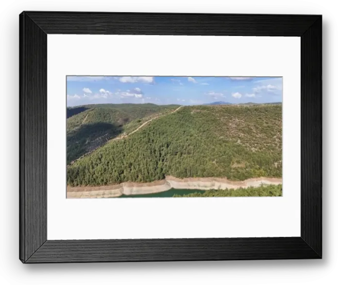 Framed Print : A small hill covered by pine tree forest in nature. Drone view Framed Print : A small hill covered by pine tree forest in nature. Drone view