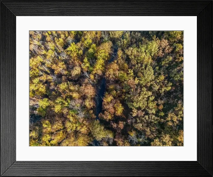 Framed Print : a road appear in the middle of the forest with a zenithal view Framed Print : a road appear in the middle of the forest with a zenithal view