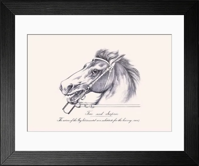 Framed Print : Horse illustration. 19th-century plate from a book on the practical treatise about the humane management of the horse Framed Print : Horse illustration. 19th-century plate from a book on the practical treatise about the humane management of the horse