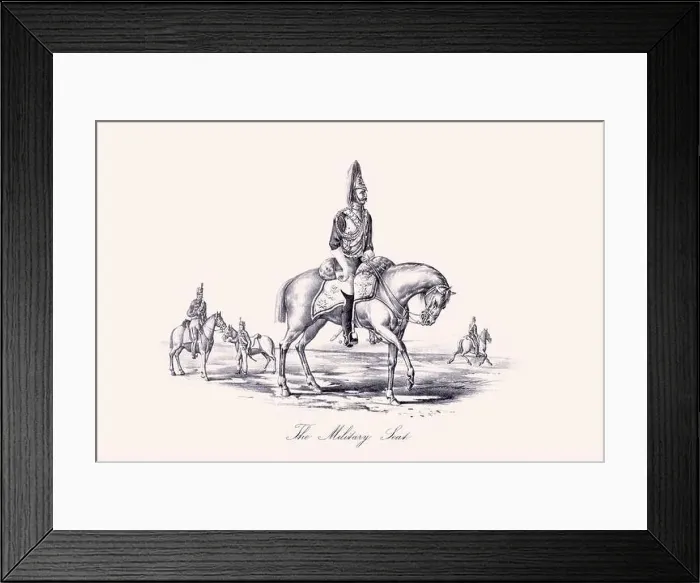 Framed Print : Horse illustration. 19th-century plate from a book on the practical treatise about the humane management of the horse Framed Print : Horse illustration. 19th-century plate from a book on the practical treatise about the humane management of the horse