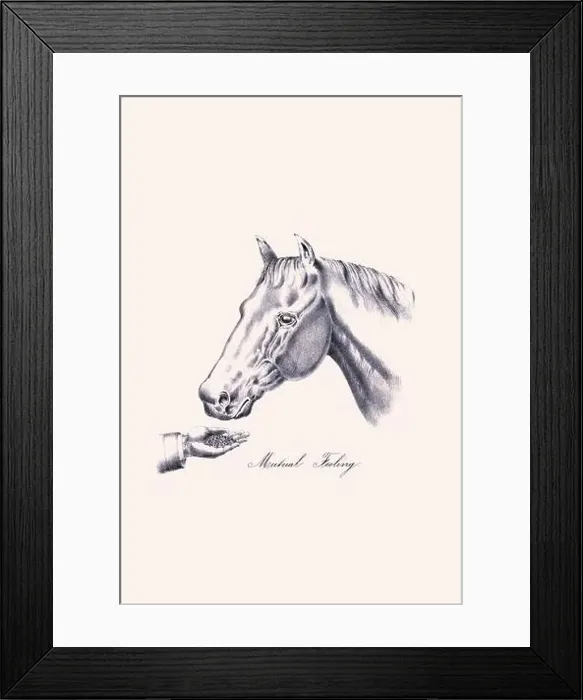 Framed Print : Horse illustration. 19th-century plate from a book on the practical treatise about the humane management of the horse Framed Print : Horse illustration. 19th-century plate from a book on the practical treatise about the humane management of the horse