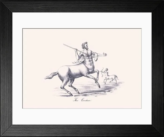 Framed Print : Mythological horse illustration