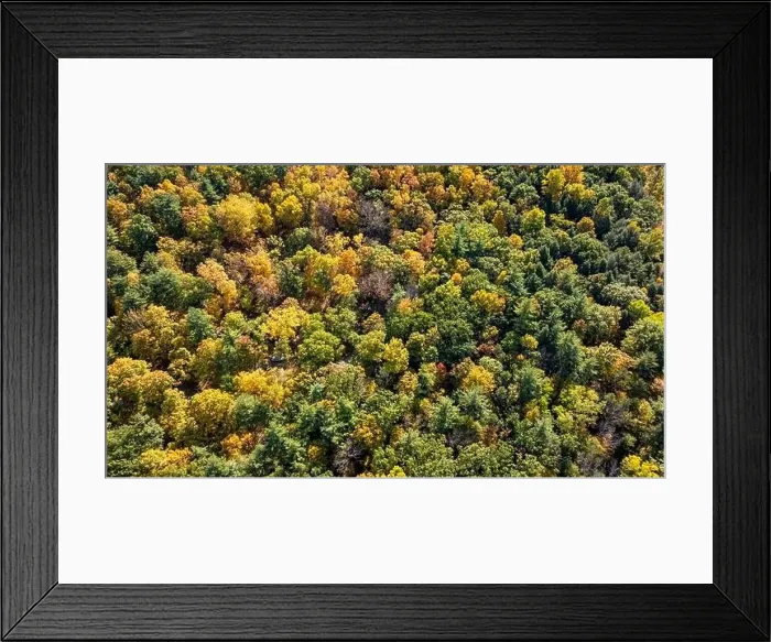 Framed Print : Late afternoon aerial autumn image of the area surrounding the City of Ithaca, NY, USA 10-12-2024 Framed Print : Late afternoon aerial autumn image of the area surrounding the City of Ithaca, NY, USA 10-12-2024