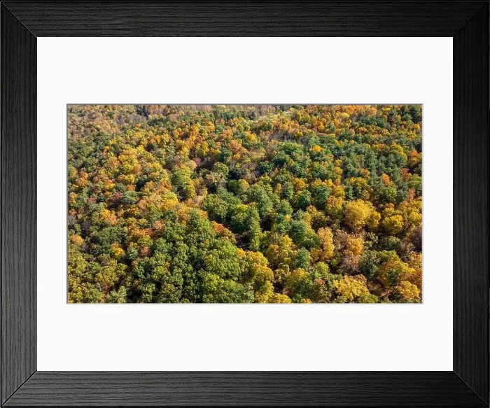 Framed Print : Late afternoon aerial autumn image of the area surrounding the City of Ithaca, NY, USA 10-12-2024