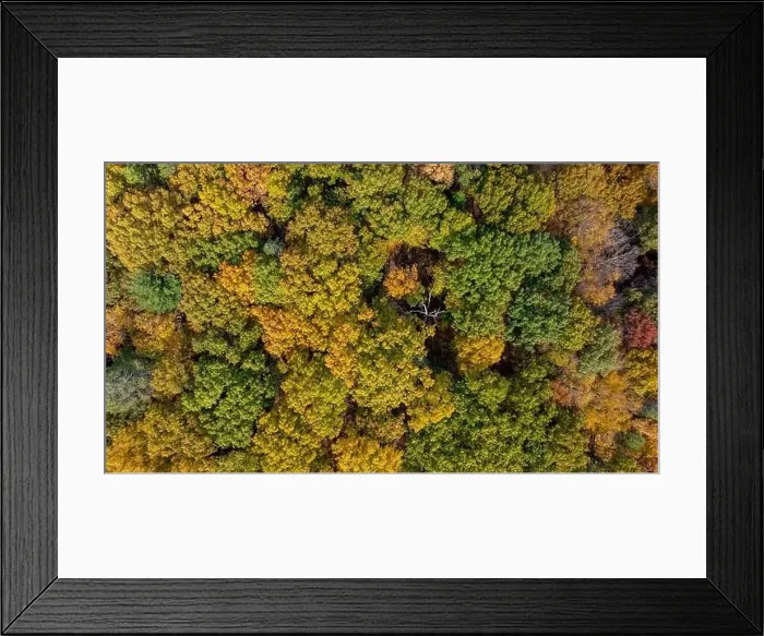 Framed Print : Late afternoon aerial autumn image of the area surrounding the Yorktown Heights, NY, USA 10-16-2024 Framed Print : Late afternoon aerial autumn image of the area surrounding the Yorktown Heights, NY, USA 10-16-2024