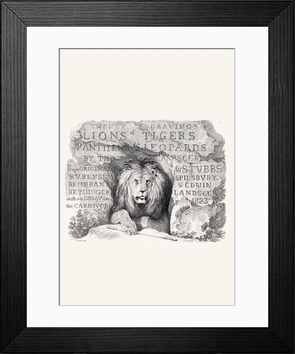 Framed Print : Lion illustration. Plate from a vintage book of engravings by Sir Edwin Landseer Framed Print : Lion illustration. Plate from a vintage book of engravings by Sir Edwin Landseer