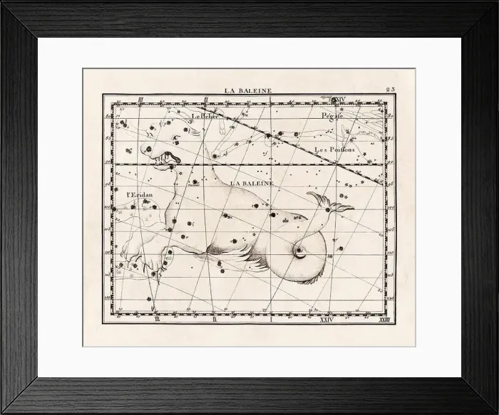 Framed Print : Vintage constellation illustration from the early 18th century Framed Print : Vintage constellation illustration from the early 18th century