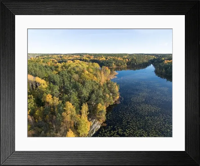 Framed Print : aerial view of autumn forest landscape with yellow leaf trees by a blue calm lake in Sweden on a clear fall day Framed Print : aerial view of autumn forest landscape with yellow leaf trees by a blue calm lake in Sweden on a clear fall day