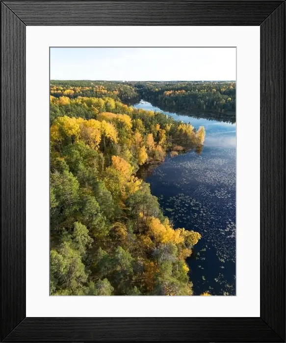 Framed Print : Aerial view of autumn forest landscape with yellow leaf trees by a blue calm lake in Sweden on a clear fall day Framed Print : Aerial view of autumn forest landscape with yellow leaf trees by a blue calm lake in Sweden on a clear fall day