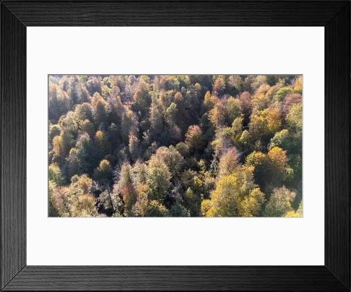 Framed Print : default Framed Print : default