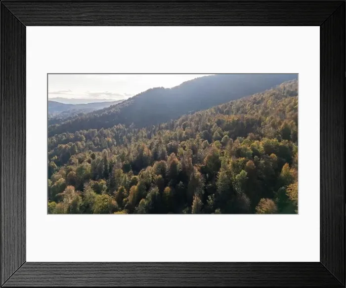 Framed Print : default Framed Print : default