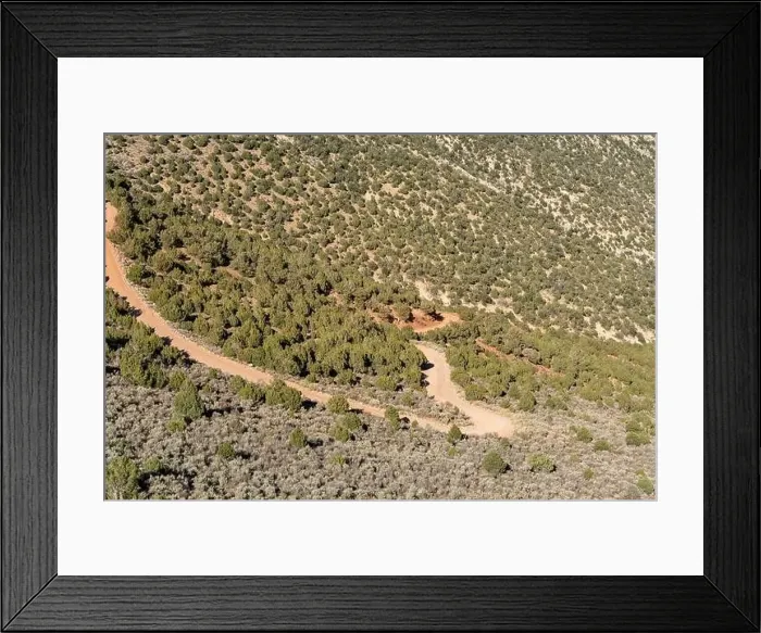 Framed Print : Dirt road with trees on both sides. The road is narrow and winding. There are no cars on the road Framed Print : Dirt road with trees on both sides. The road is narrow and winding. There are no cars on the road