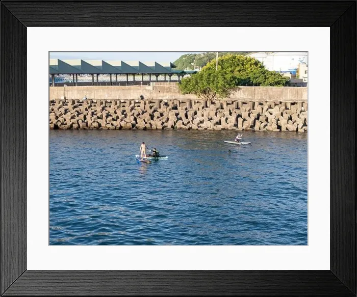 Framed Print : Young people enjoying marine sports such as SUP in Keelung City, Taiwan. September 2024 Framed Print : Young people enjoying marine sports such as SUP in Keelung City, Taiwan. September 2024