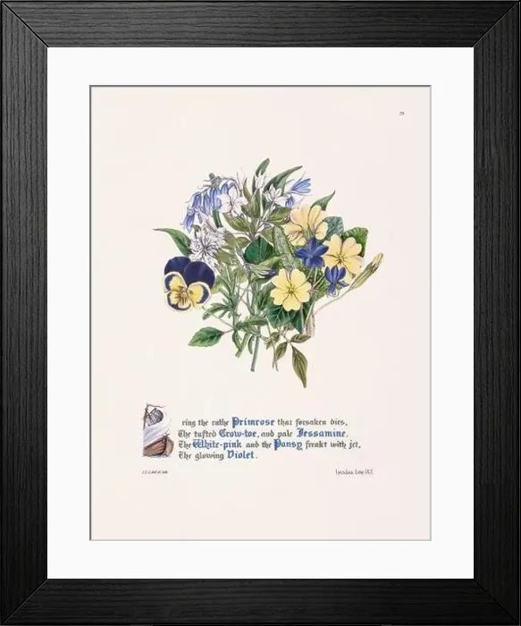 Framed Print : Floral bouquet illustration Framed Print : Floral bouquet illustration