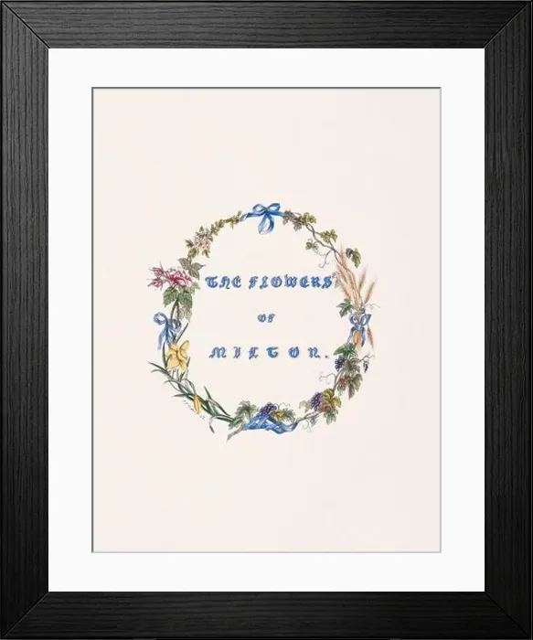 Framed Print : Floral illustration Framed Print : Floral illustration