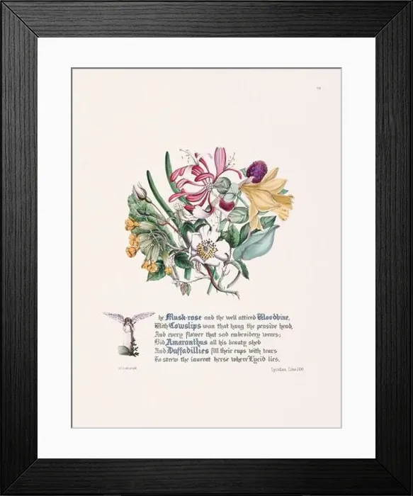 Framed Print : Floral bouquet illustration Framed Print : Floral bouquet illustration