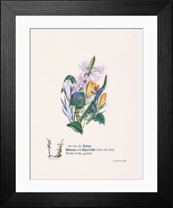 Framed Print : Floral bouquet illustration Framed Print : Floral bouquet illustration