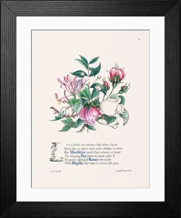 Framed Print : Floral bouquet illustration Framed Print : Floral bouquet illustration