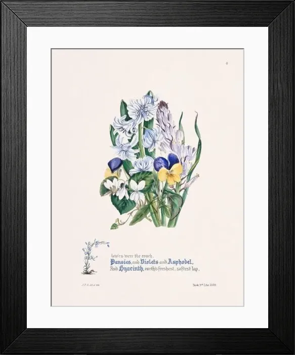 Framed Print : Floral bouquet illustration Framed Print : Floral bouquet illustration