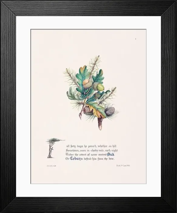 Framed Print : Floral bouquet illustration Framed Print : Floral bouquet illustration